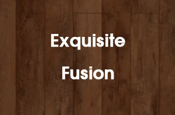 Exquisite Fusion